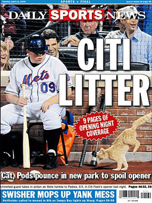 CITI LITTER